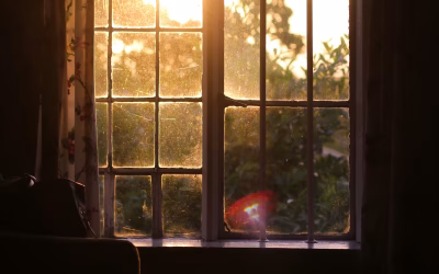 Yo te curo, vos te sanás