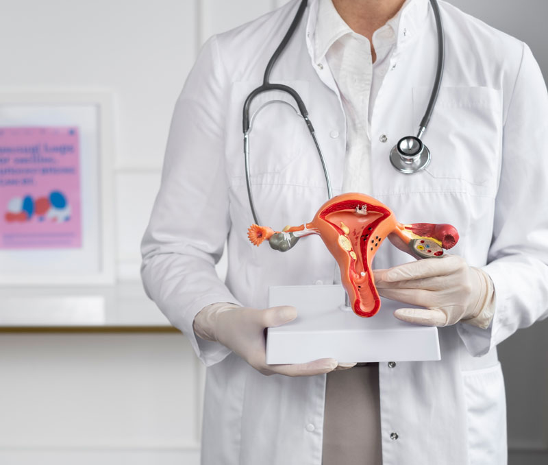 doctor-de-vista-frontal-con-modelo-anatomico