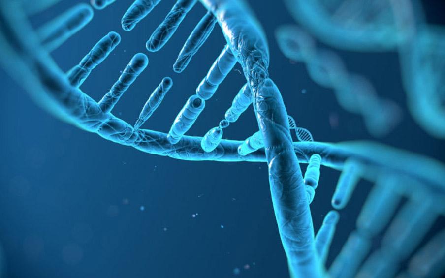 ¿Puede el cáncer heredarse? Lo que tenés que saber