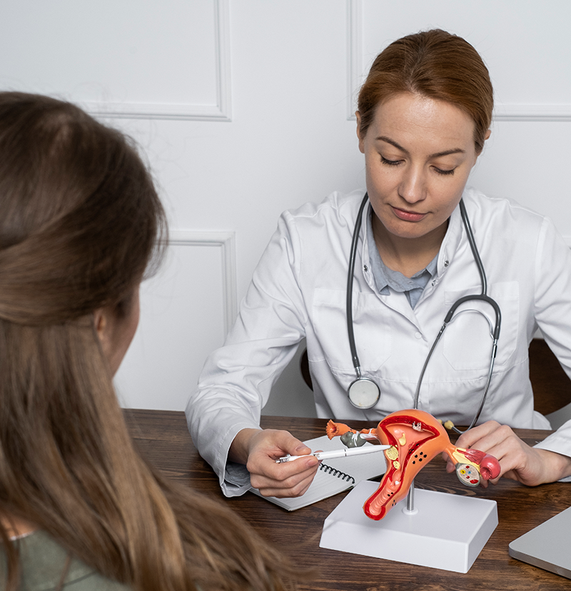 doctor-explicando-el-modelo-anatomico-al-paciente-en-angulo-alto