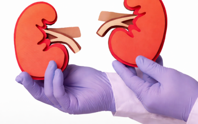 Riñones y tratamientos oncológicos